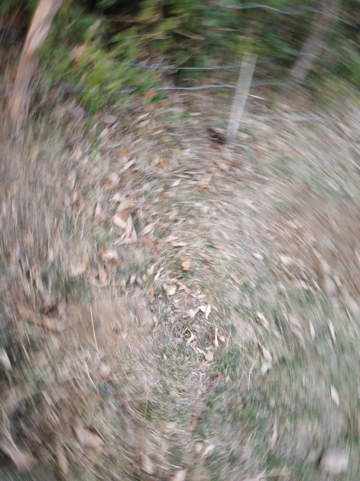 whirl