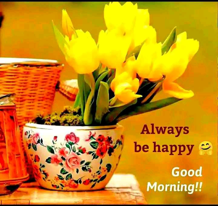 Good morning