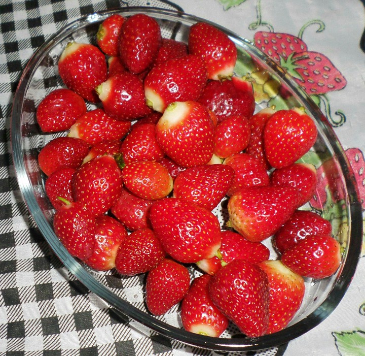 Morango