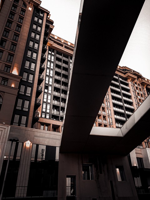 Urban jungle