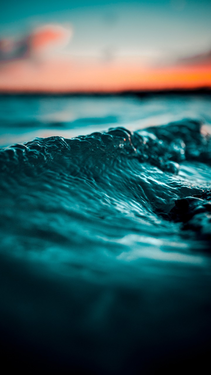 Sea
