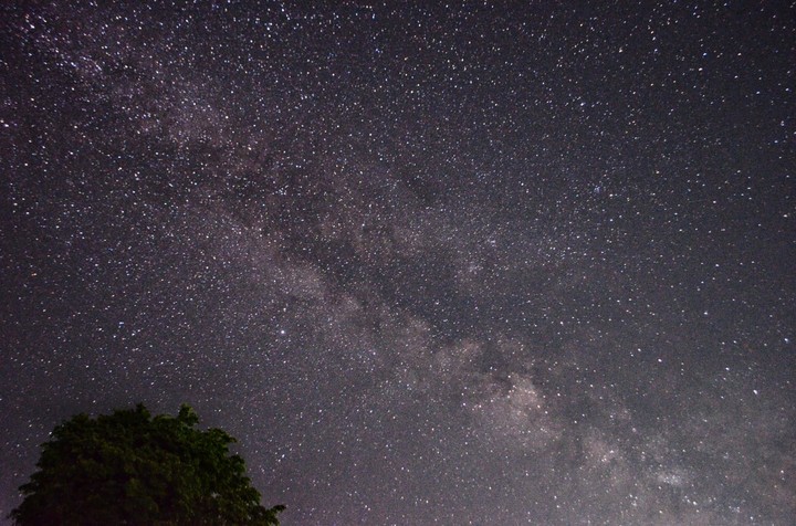 Stars