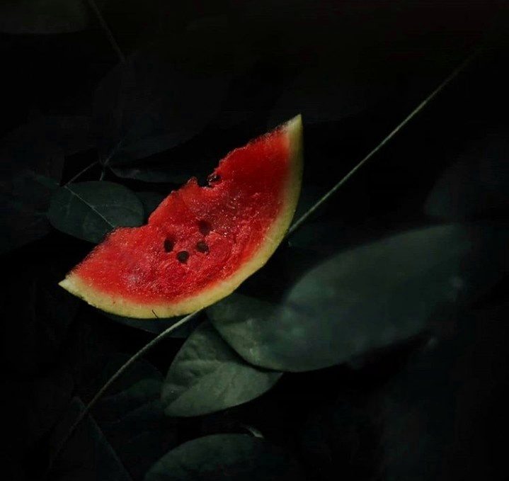 watermelon
