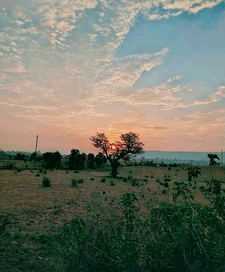 sunset.