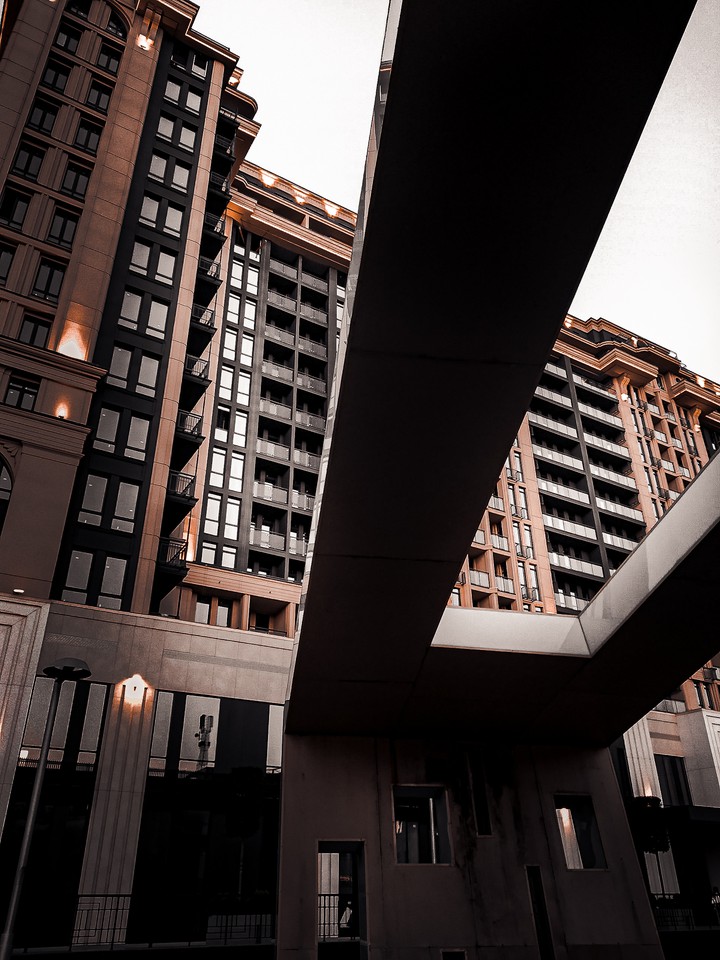 Urban jungle