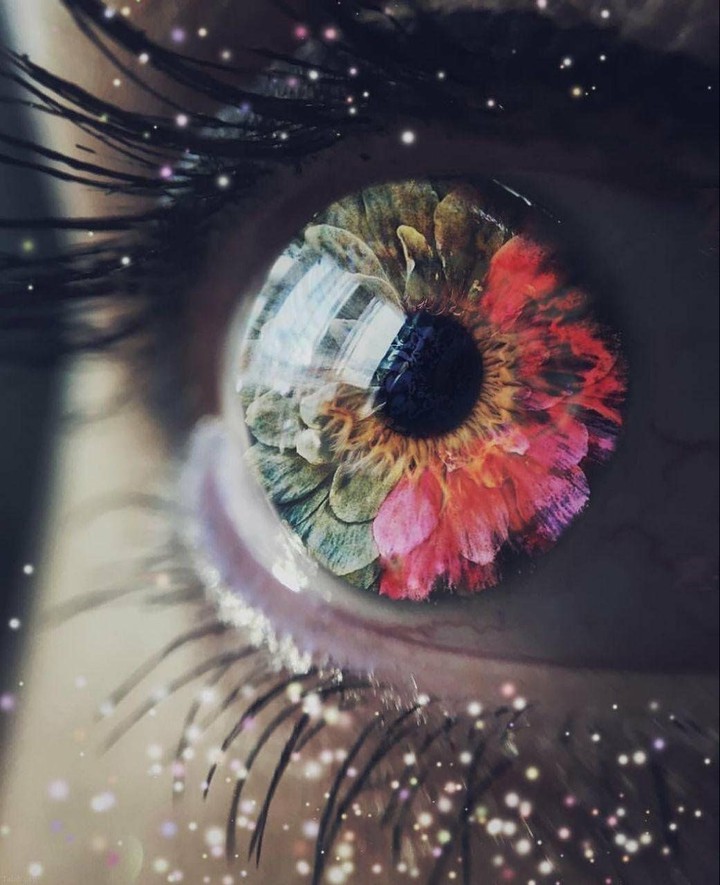 بدون شرح