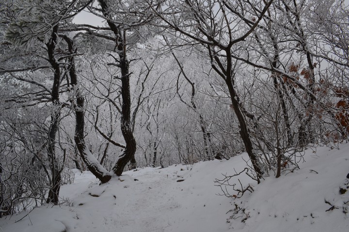 관악산의겨울이미지