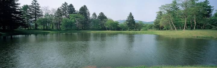 강이미지