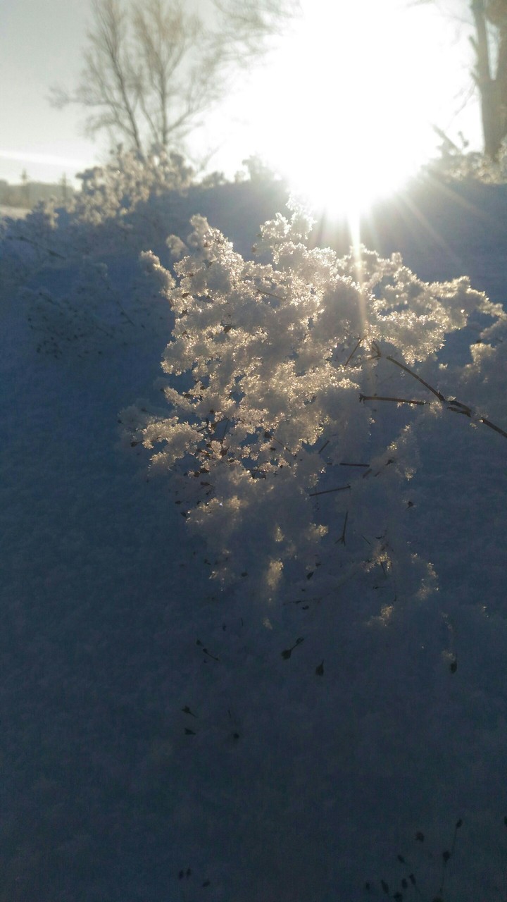 Солнышко  снежок