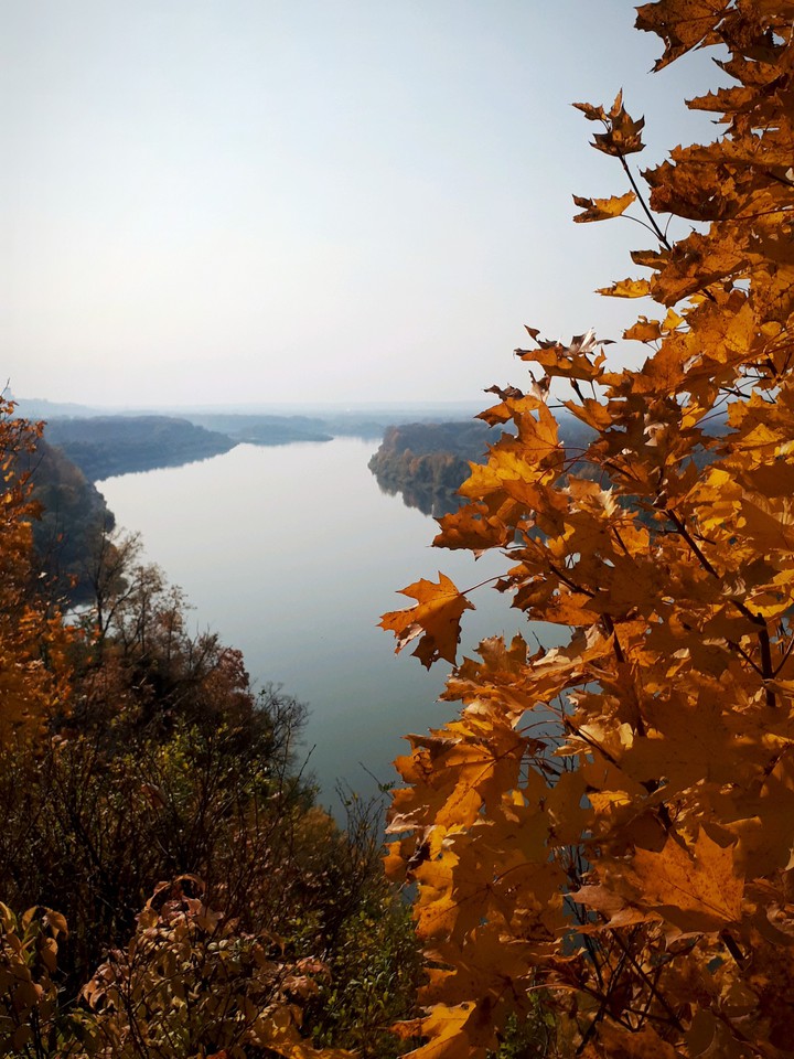осень