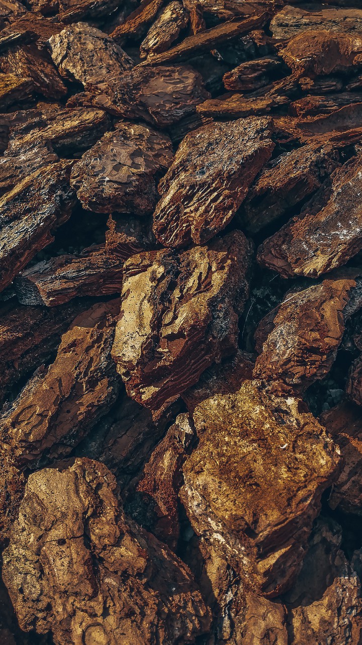 golden wood