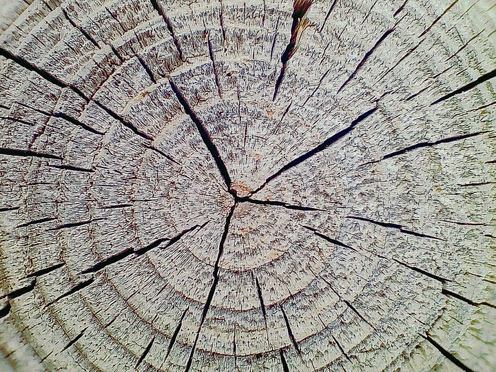 wood