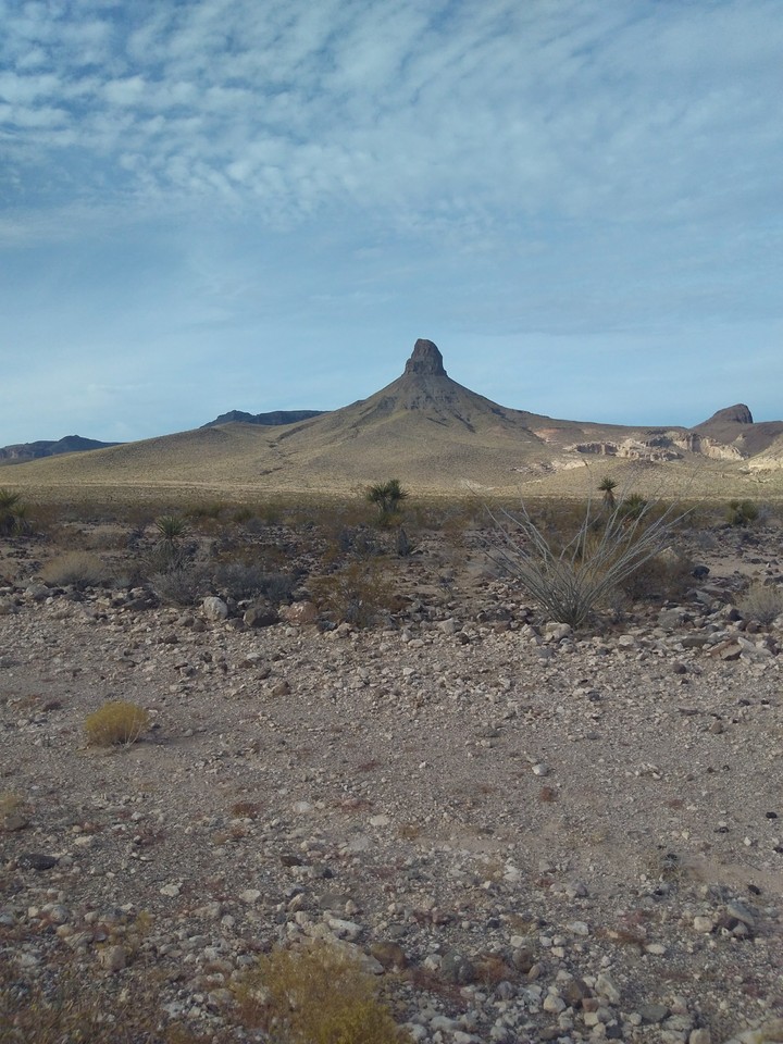 Oatman Arizona