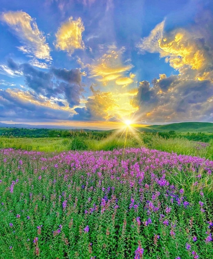 Japan...sun...