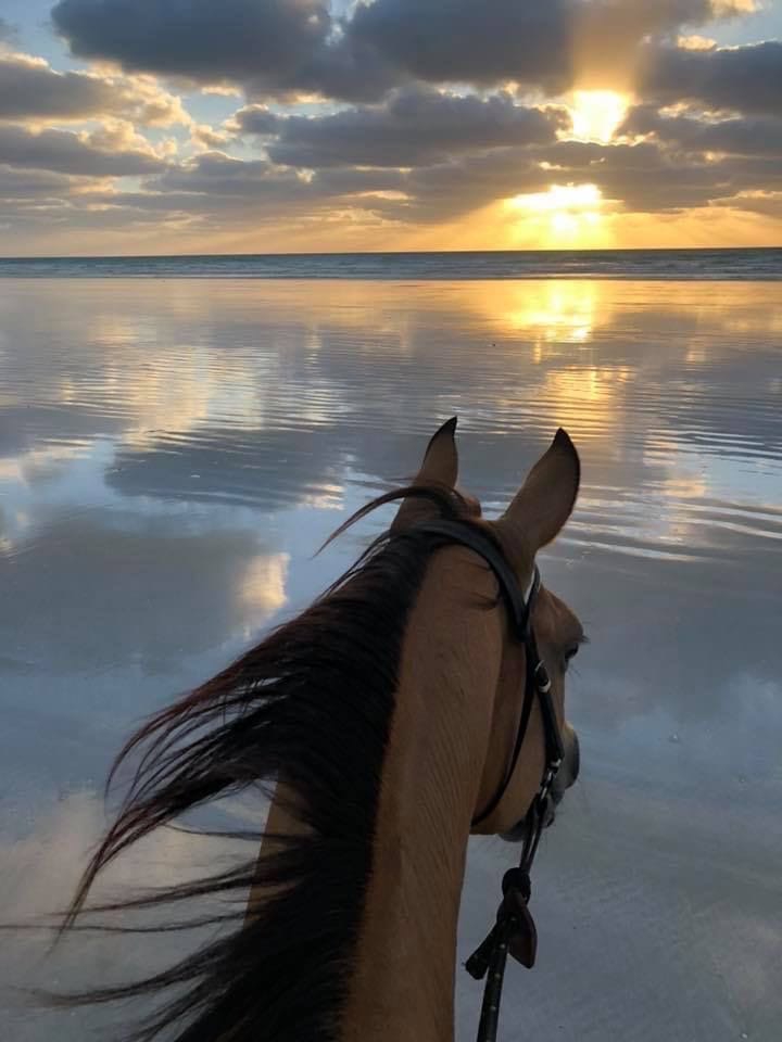 ☀️