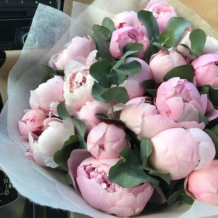 peonies ?