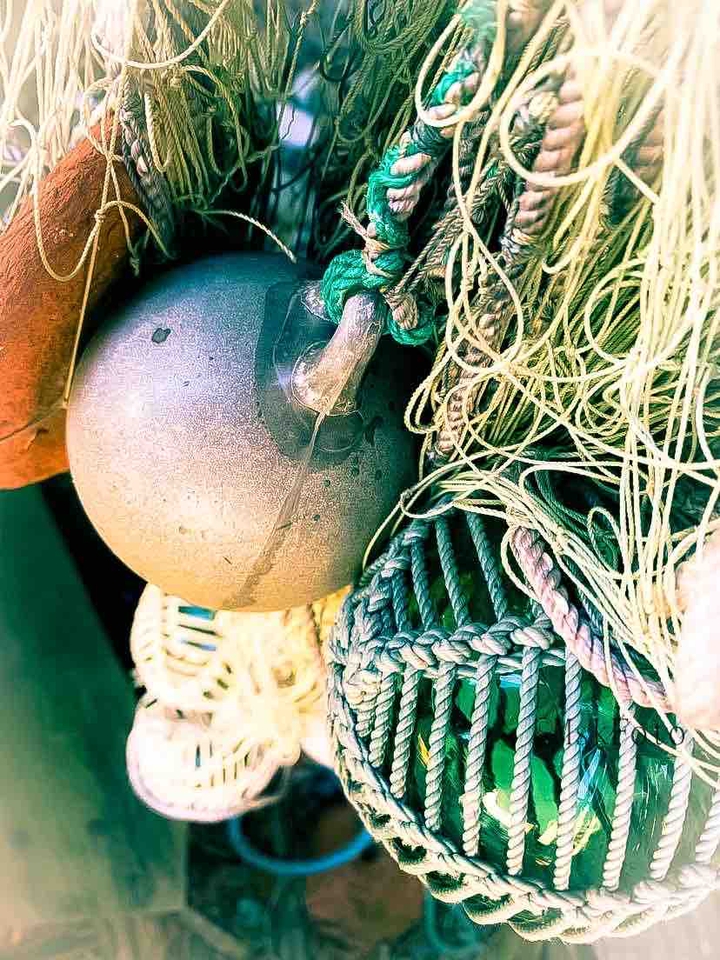 Bulb