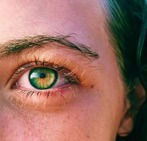 eye