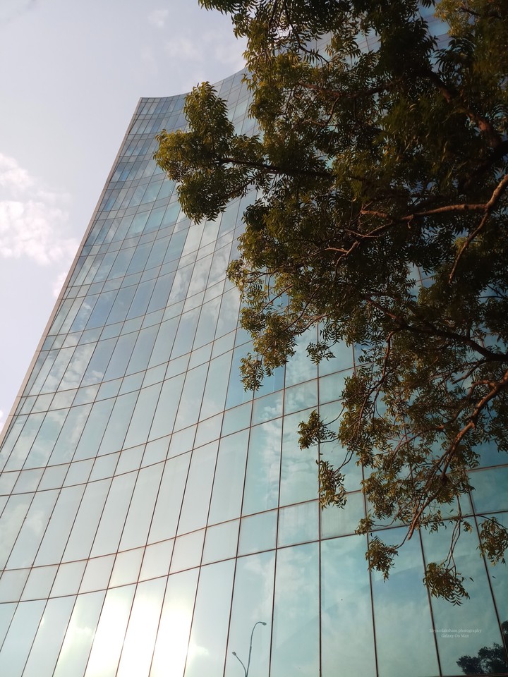 I.T Building