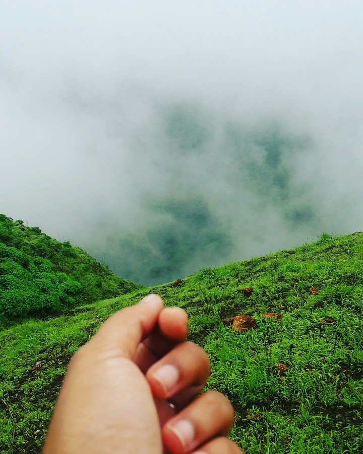 foggy