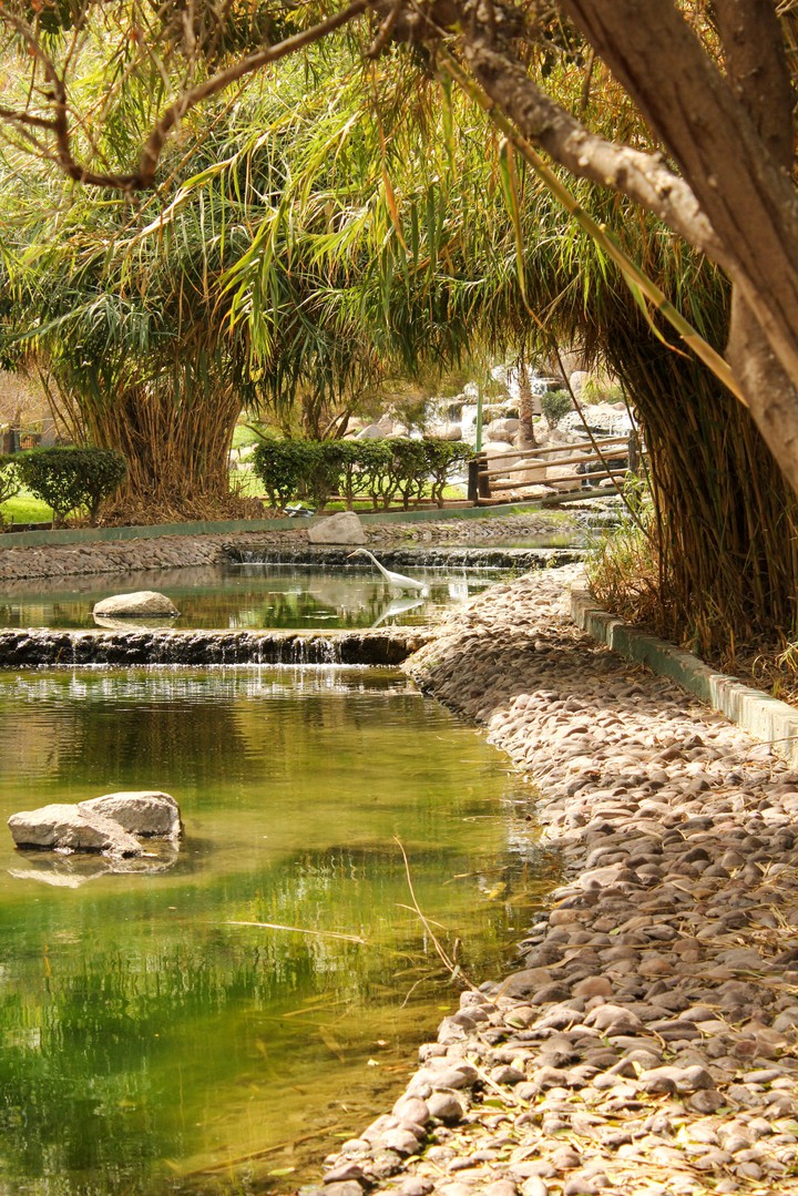 Magic river