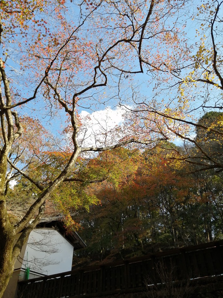 秋空