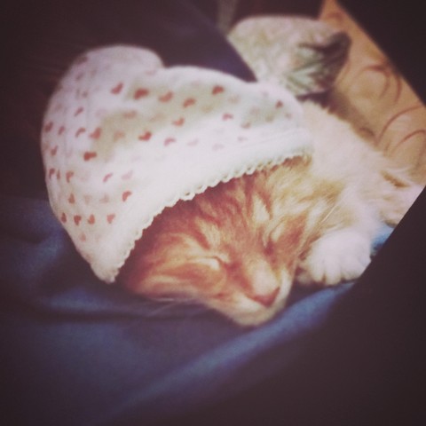 more one sleepy head...