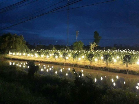 night light