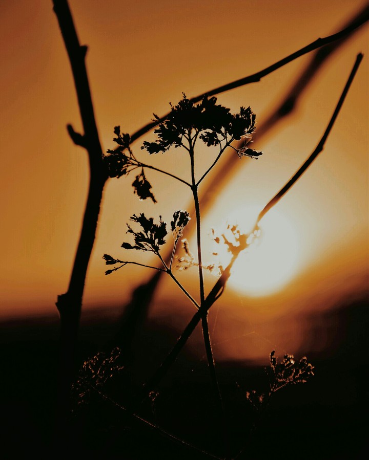 sun shine