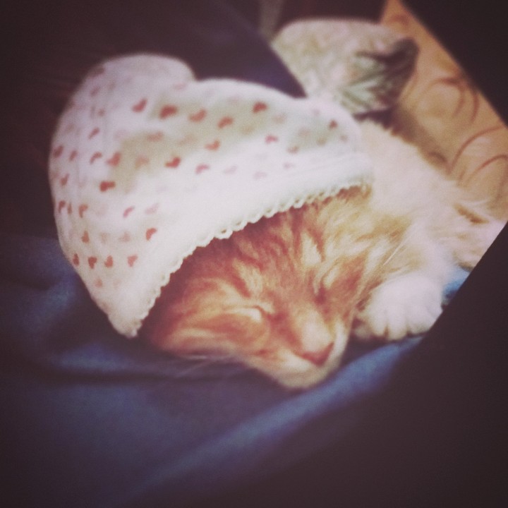 more one sleepy head...
