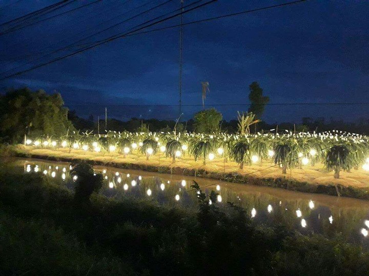 night light