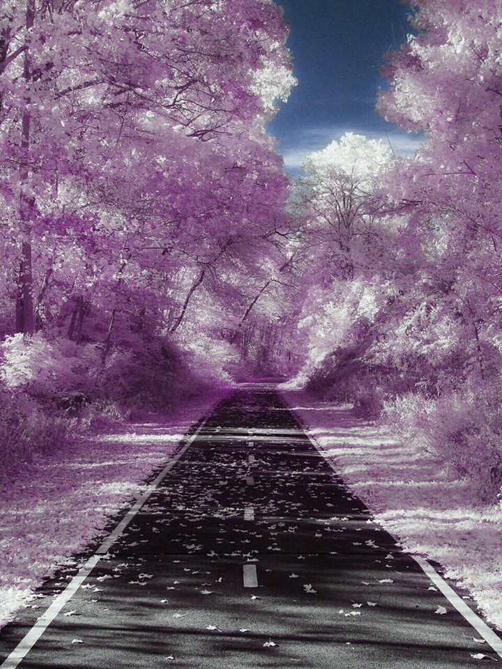 Road