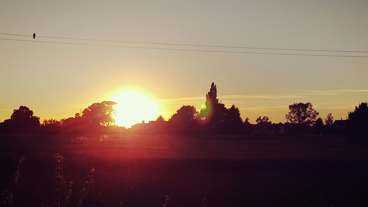 nice sunset