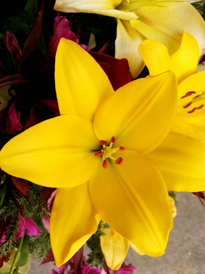 yellow flower
