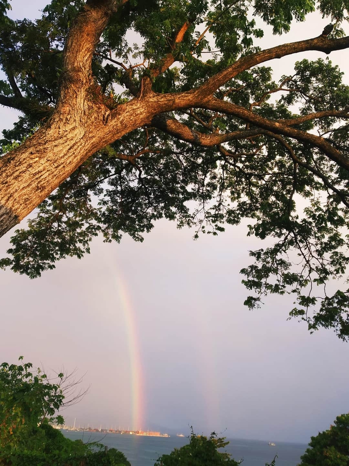Rainbow ?