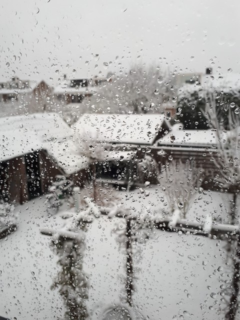 Snow