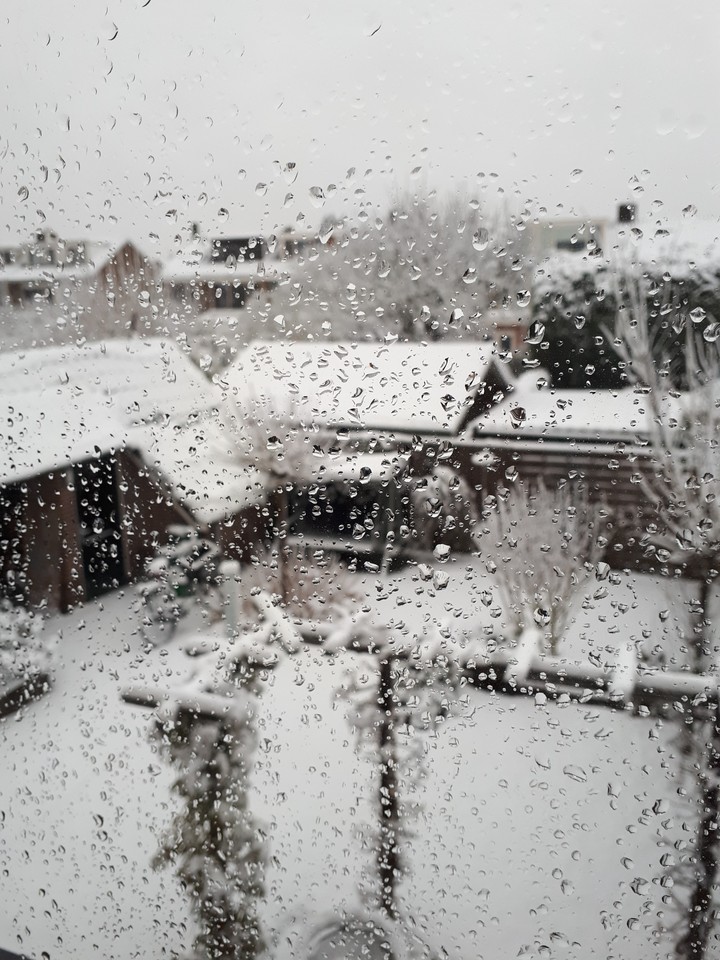Snow