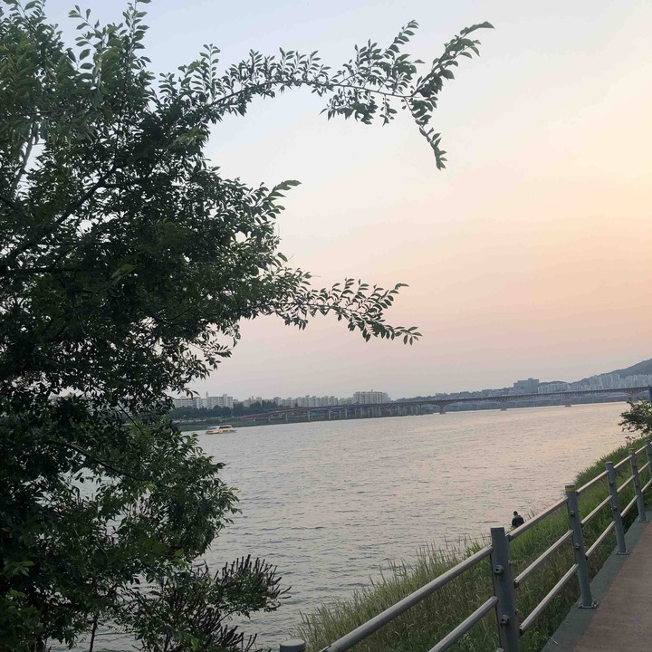 뚝섬