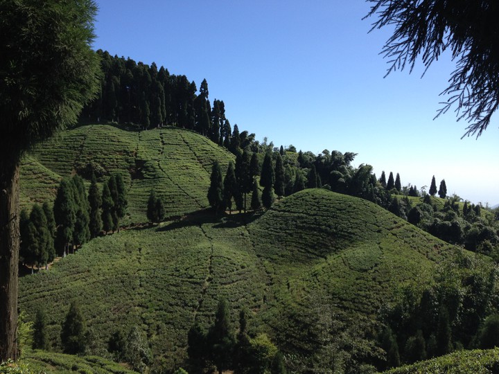rolling hills