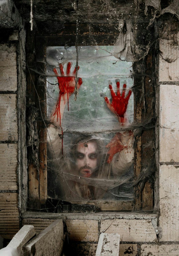 zombie in my window