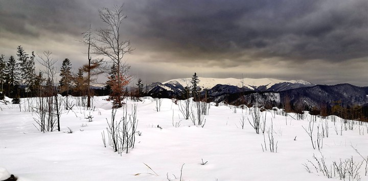 Winter, clouds