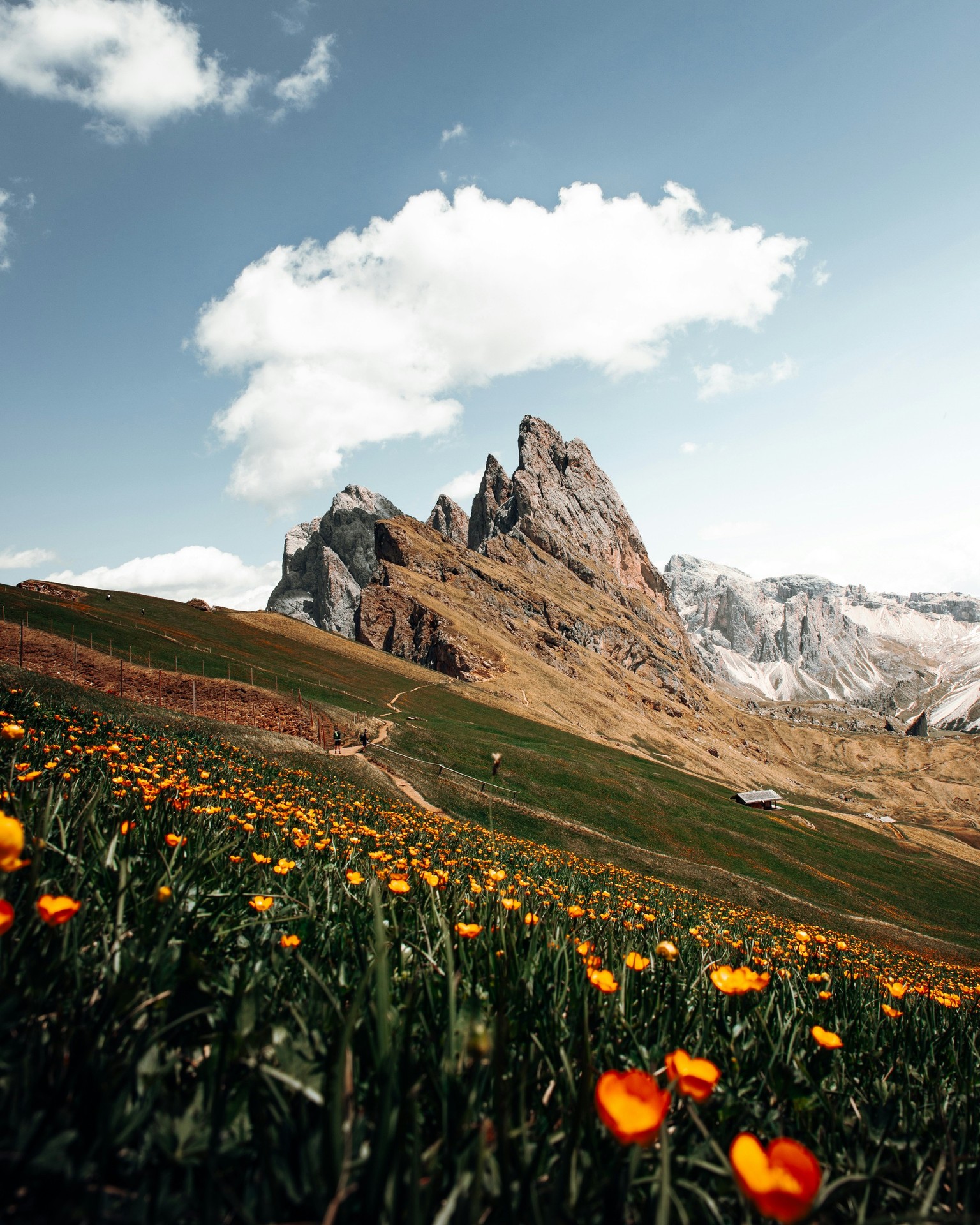 sfondi Ridge, sky
