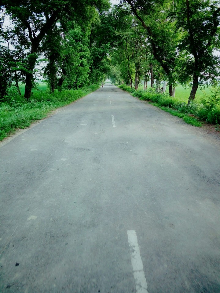 Road