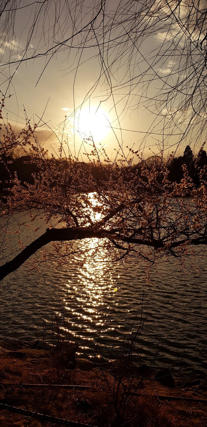 sunset by the lake