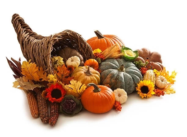 cornucopia - autumn harvest bounty