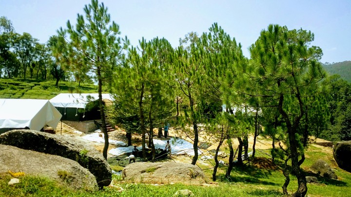 Fresh air, positive feelings