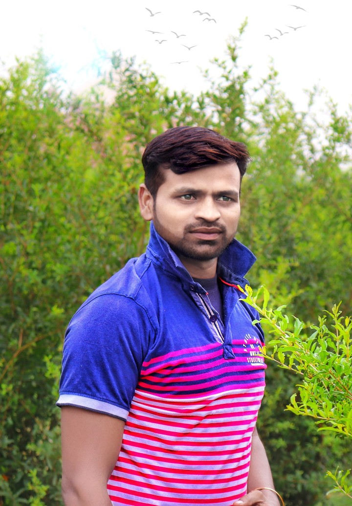 BRAJESHKUSHWAH_OFFICIAL