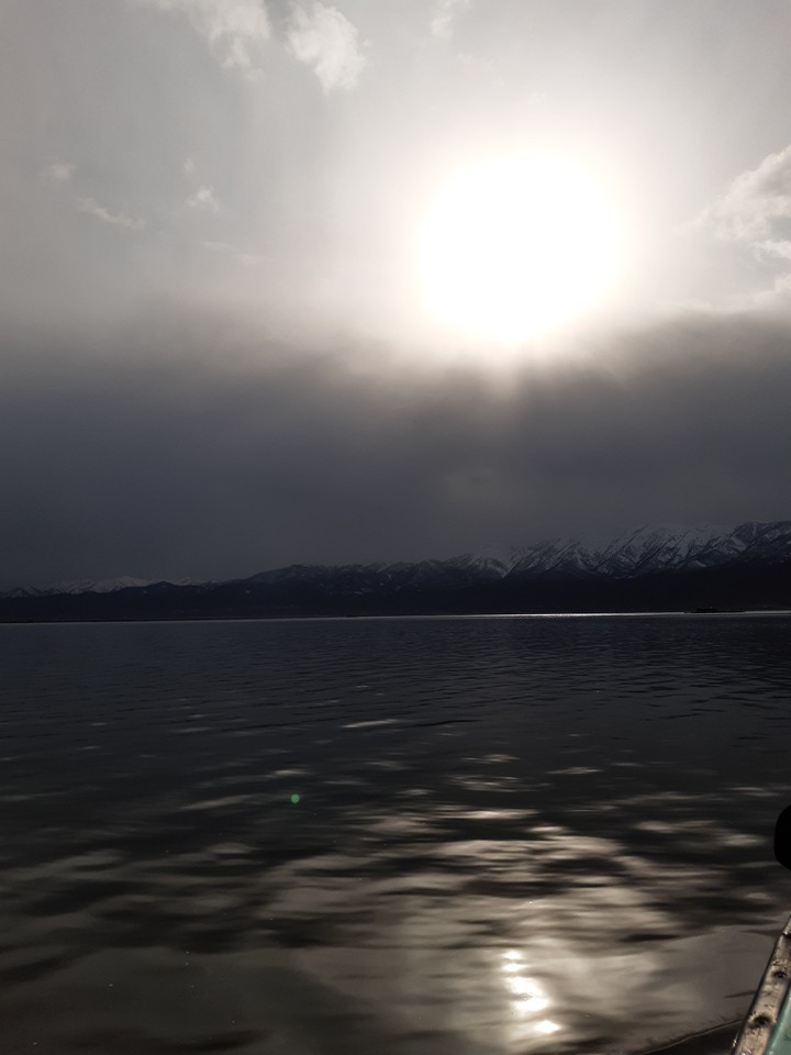 winter sun