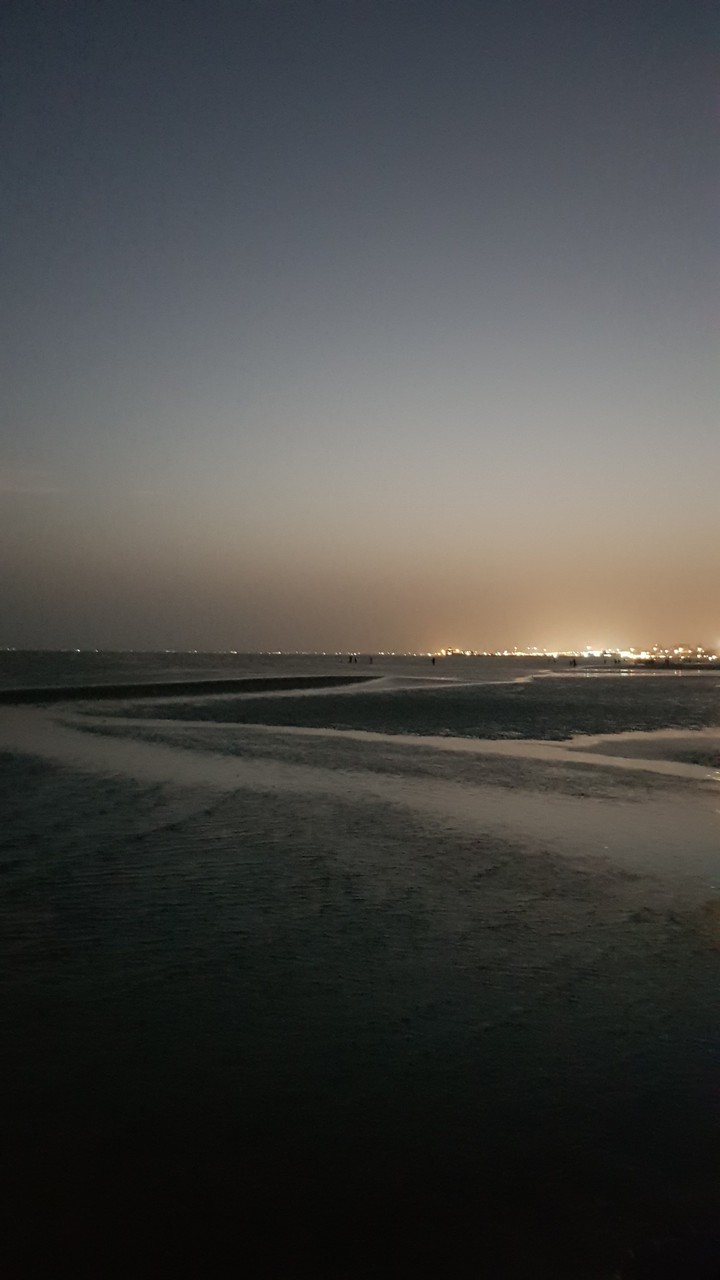 sea and the city