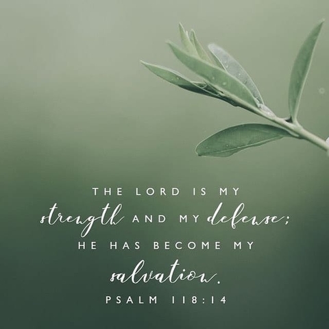 Psalms